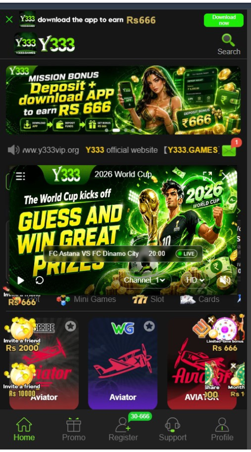 Y333 Game