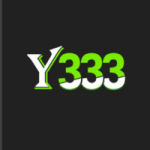 Y333 Game